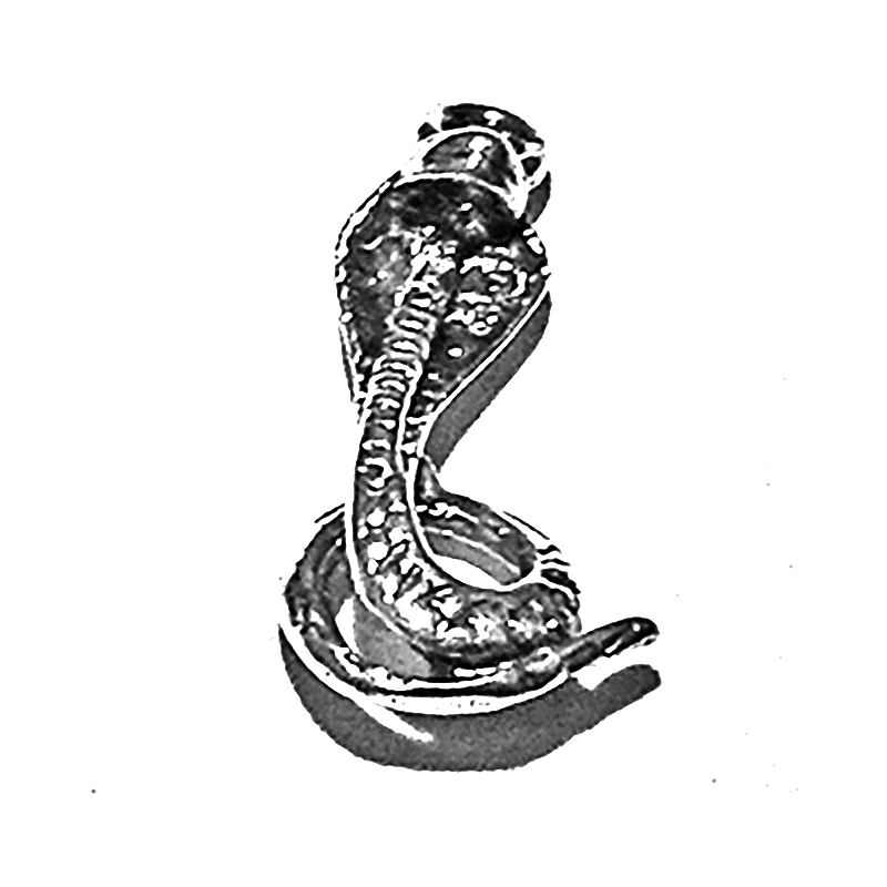 Sterling Silver Charm Pendant Cobra 19 mm 1 gram ID # 6357 - Click Image to Close