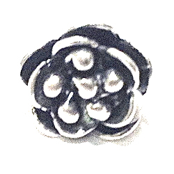 Sterling Silver Charm Rose 11 mm 1.8 gram ID # 6363 - Click Image to Close