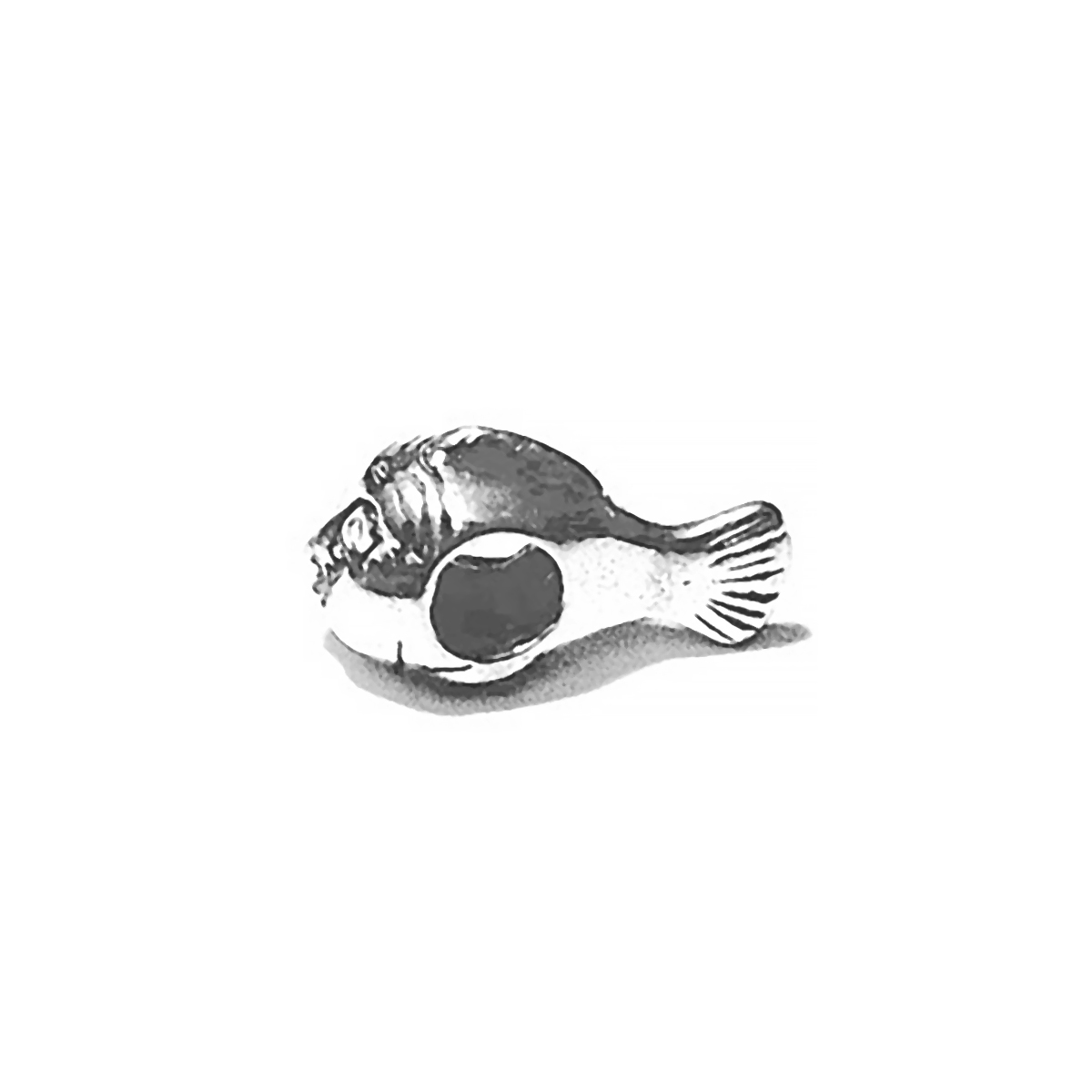 Sterling Silver Fish Rondelle Bead Spacer 16 mm 2.2 gram ID # 6428 - Click Image to Close